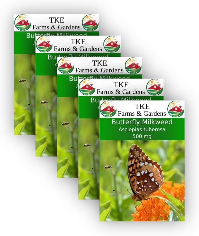 TKE Farms & Gardens Semillas de algodoncillo mariposa para plantar, 500 mg 100 semillas de reliquia, sin OMG, paquete incluye instrucciones para