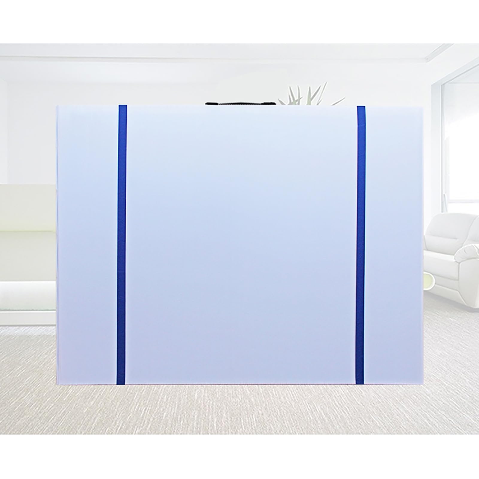 Amazon.co.jp: B1 サイズ728×1030mm ルーズリーフ クリア ファイル