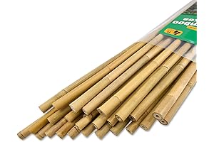 25 Pack 4ft Bamboo Stakes for Plants
