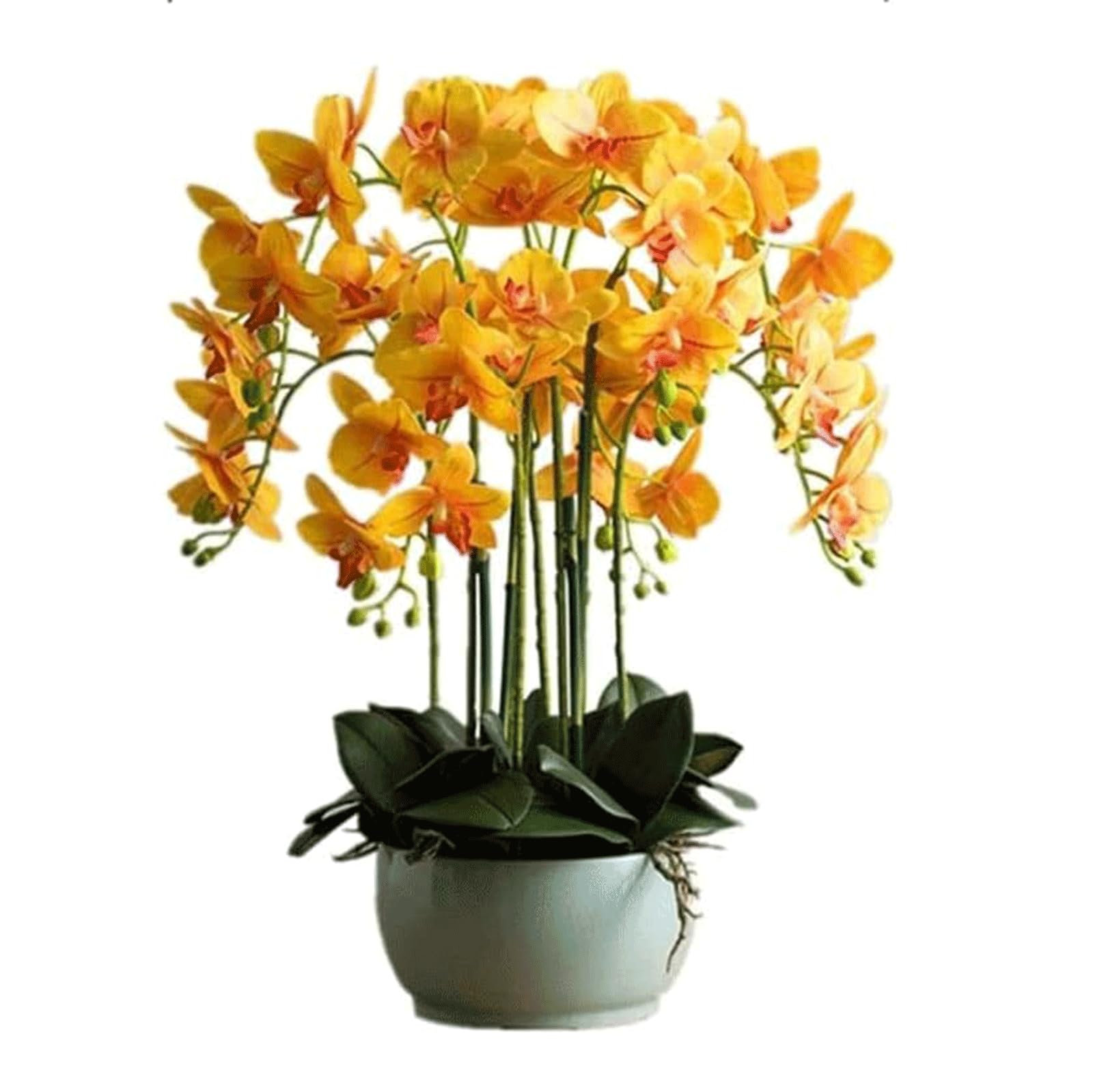 Sztuczny Kwiat Lateksowy Sztuczna Orchidea Z Ceramiczną Doniczką Sztuczne Kwiaty Phalaenopsis Sztuczne Kwiaty 56 Cm Sztuczne Orchidee Sztuczne Kwiaty