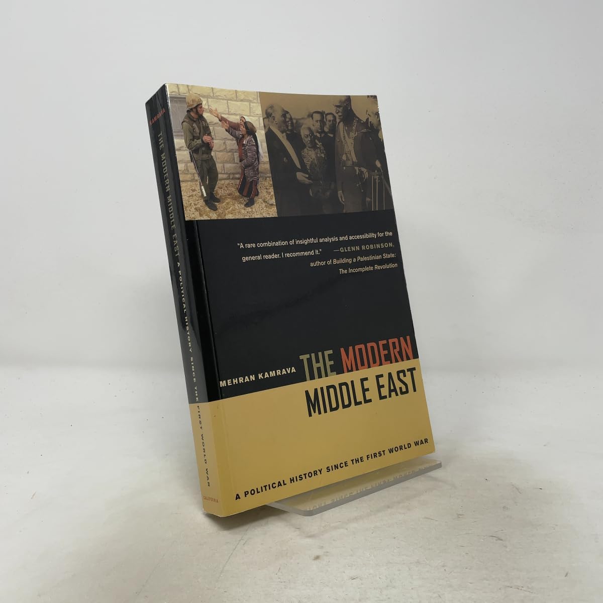 The Modern Middle East: A Political History since the First World War