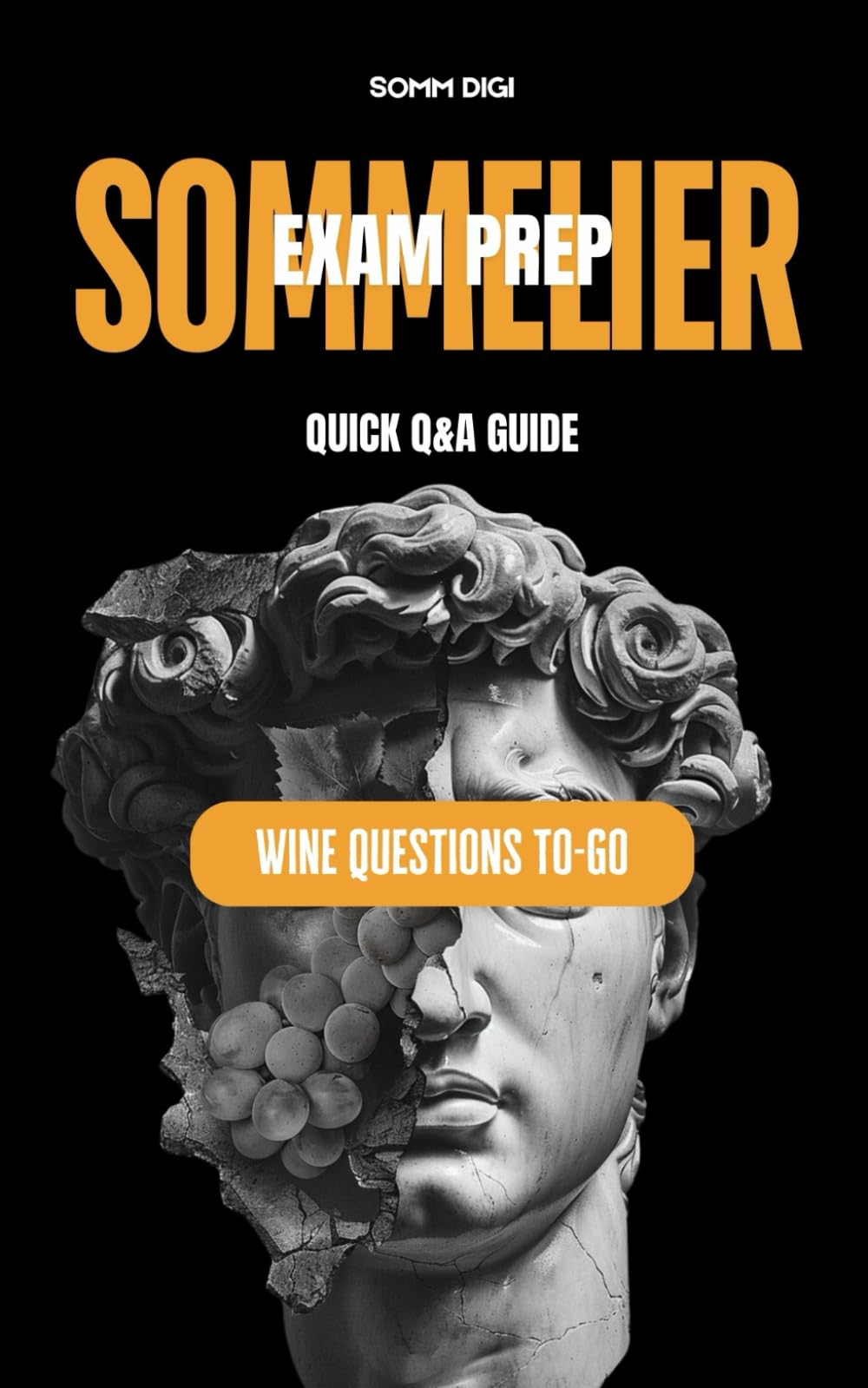 Sommelier Prep Book: Quick Q&A Guide for Wine Professionals | The Ultimate Sommelier and Wine Book for Exam Success: AI-Curated Wine Questions for Aspiring Sommeliers and Wine Lovers