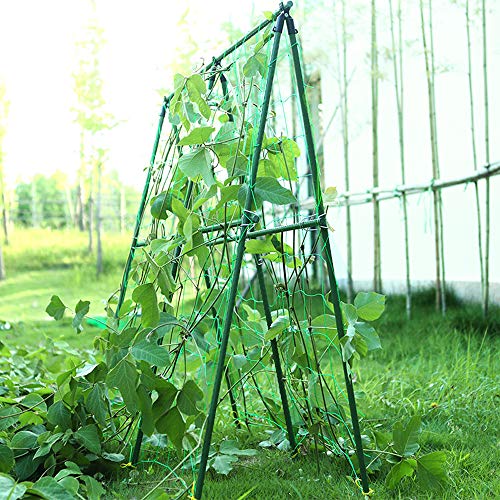 LuluDa 2 STKS Erwtennet voor Tuin Trellis Netting Plant Ondersteuning Tuin Netting Bean Ondersteuning Weerbestendig… - Image 7