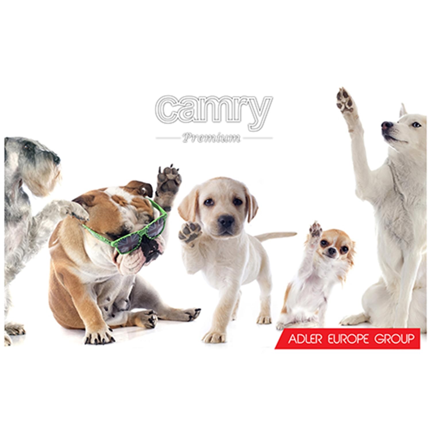 Camry CR 2821 Cortapelos para Mascotas, Perros, Gatos, Profesional, cabezal titanio, cuhillas cerámicas, inalámbrica 2 x bateria recargable, bajo Ruido y Vibración, 4 Peines para Pelo Rizado, Ondulado, Largo de Animales, 35W
