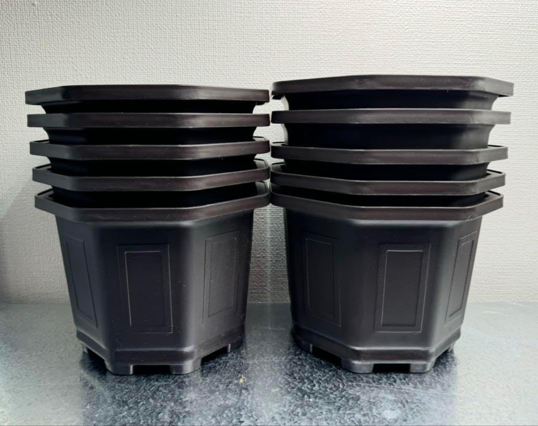 DQXショップ | SHOPニュース個別記事 ドラクエ まとめ売り カレンダー