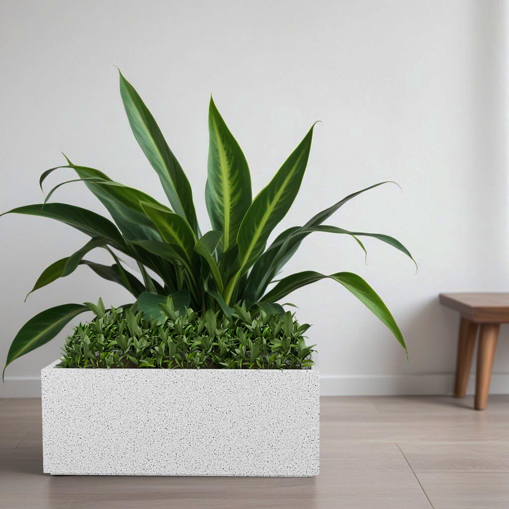 See full amazon price history chart for YUCCABE ITALIA FOXB BXT 21 INCH Pots for Plants Highly Durable Polymers Lightweight Indoor Outdoor Plant Pots, Flower Pot Gamla Tree Planter Container Planters for Living Room, Balcony, Garden YUCCABE ITALIA FOXB BXT 21 INCH Pots for Plants Highly Durable Polymers Lightweight Indoor Outdoor Plant Pots, Flower Pot Gamla Tree Planter Container Planters for Living Room, Balcony, Garden (B0D5LRXV45) Amazon Price History, Amazon Price Tracker