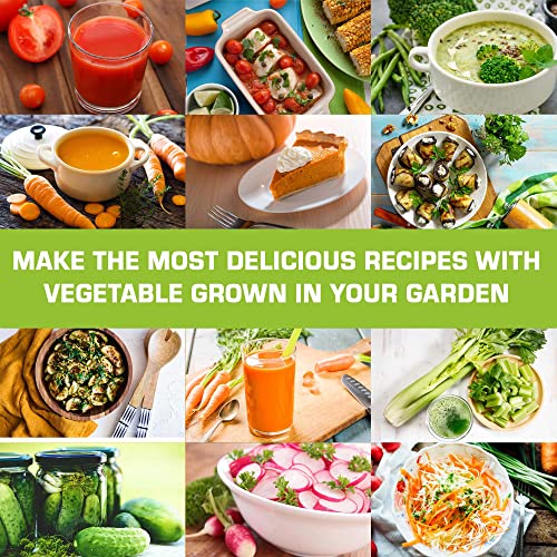 Healthy Garden Set Of Vegetable, Hot Pepper And Culinary Medicinal Herb Seeds - Heirloom Non-Gmo Usa Grown - Total 5840+ Most Needed Seeds For Planting Outdoor Indoor And Hydroponic #TOP7