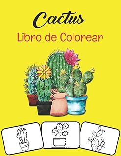 Color Del Cielo Del Desierto