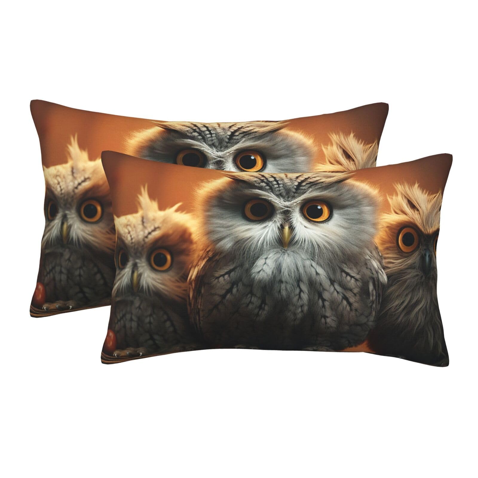 2 Pack Pillow Cases with Hidden Zipper, Soft Breathable Pillow Covers for Hair and Skin, Cute Owl Baby Pillowcases 20"x30" Bed Pillow Protectors Cover for Sleeping Gifts