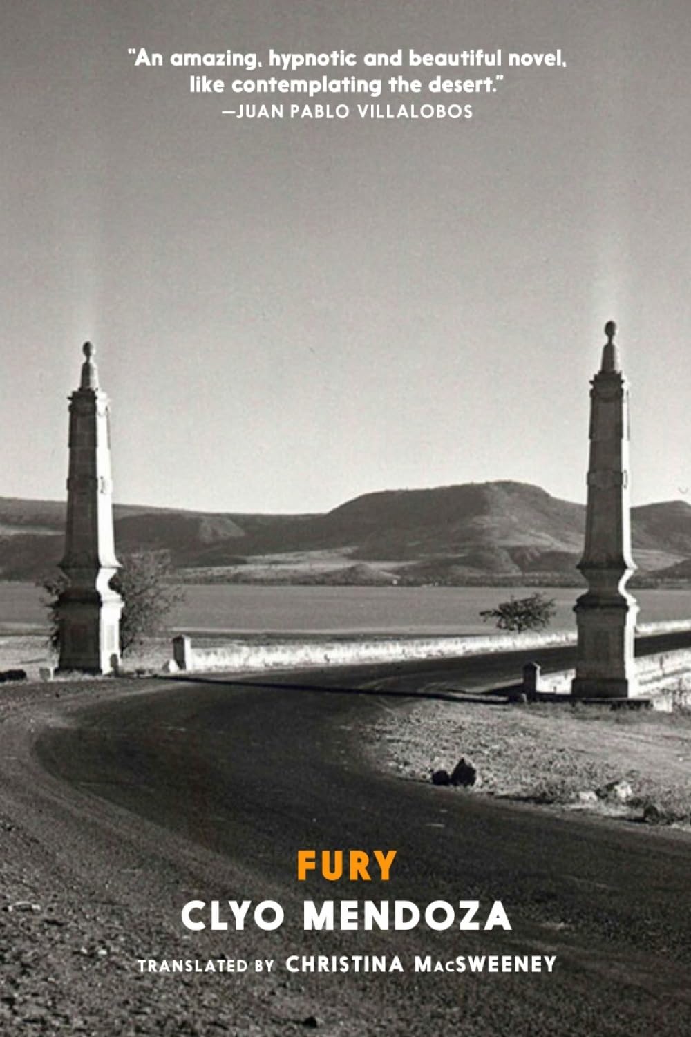 Fury