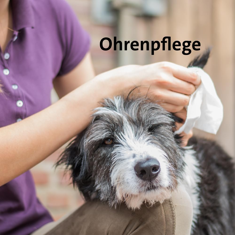 Ballistol Unisex – Erwachsene Animal Tierpflege-Öl 500ml Dose, Farblos, 6 Stück | Flüssiges Tierpflegeöl, Huf-, Schweif- und Fell-Pflege für Hund, Katze, Pferd, Hof- & Haustiere, Hof