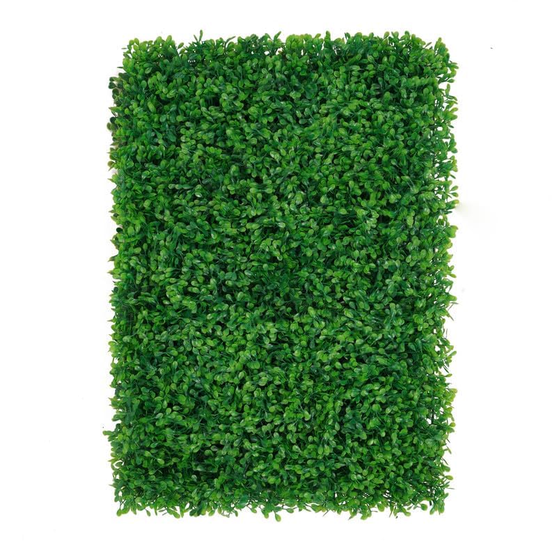 BeautifulWalls Artificial Wall Grass (11 Pc) for Home Decoration Grass Mat for Wall, Vertical Garden Artificial Plants (Lemon Green Design, 60cm X 40cm X 8cm, Pack of 11) (B099P6NMPB) Amazon Price History, Amazon Price Tracker