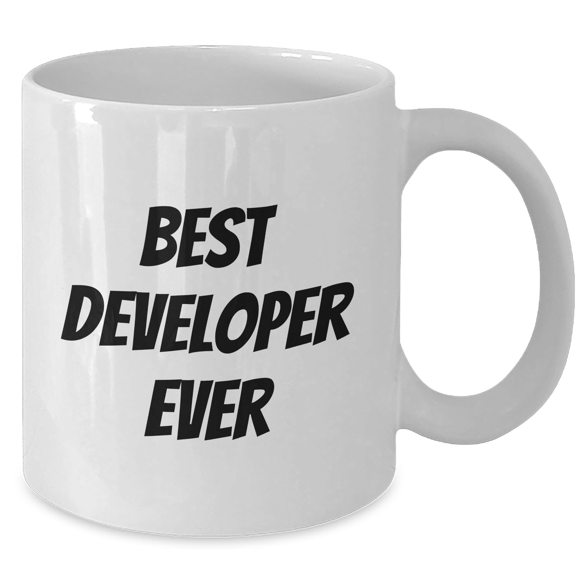 Best Developer Ever Funny White Coffee Mug Gifts for Developer Birthday Unique Gifts from Friends