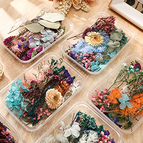 Flores secas prensadas para resina 12 cajas miniatura 3