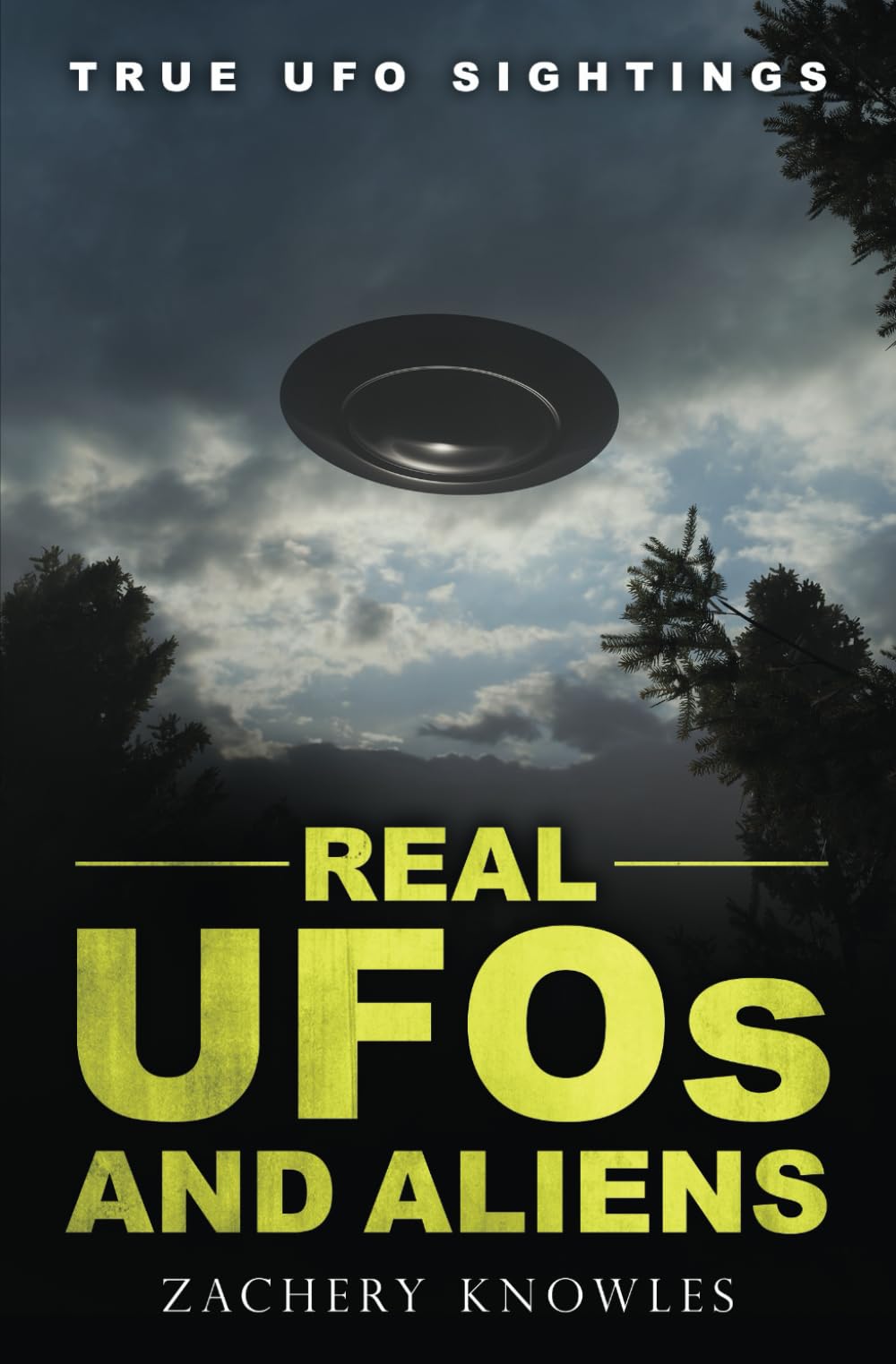 True UFO Sightings: Real UFOs and Aliens (True Ghost Stories)