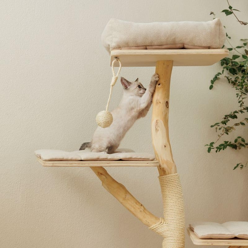 Brixen Kratzbaum für Katzen | natürliche Holzstämme | jedes Stück EIN Unikat | Höhe: 130cm