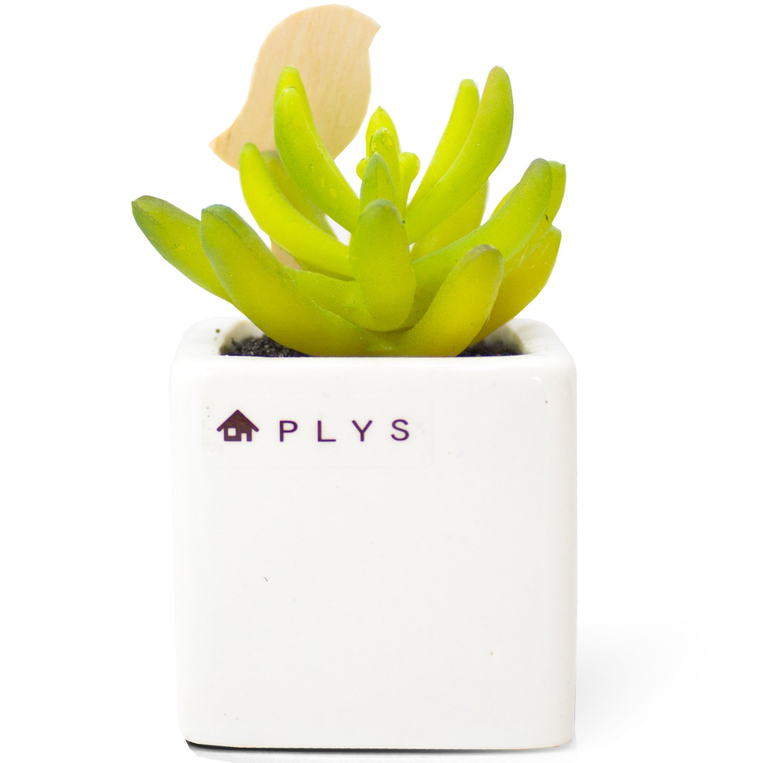 OKA PLYS Pris Green with Small Bird Stick Fuser, Fake Green (Snow Lotus)