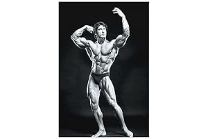 Frank Zane Motivational Gym Poster: Elevate Your Fitness Journey
