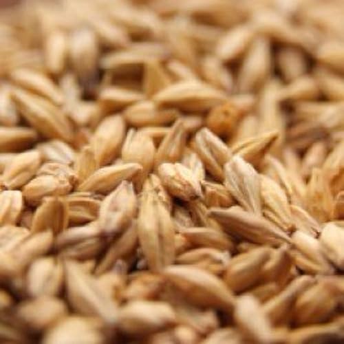 Weyermann - Malta acidulada 1 libra