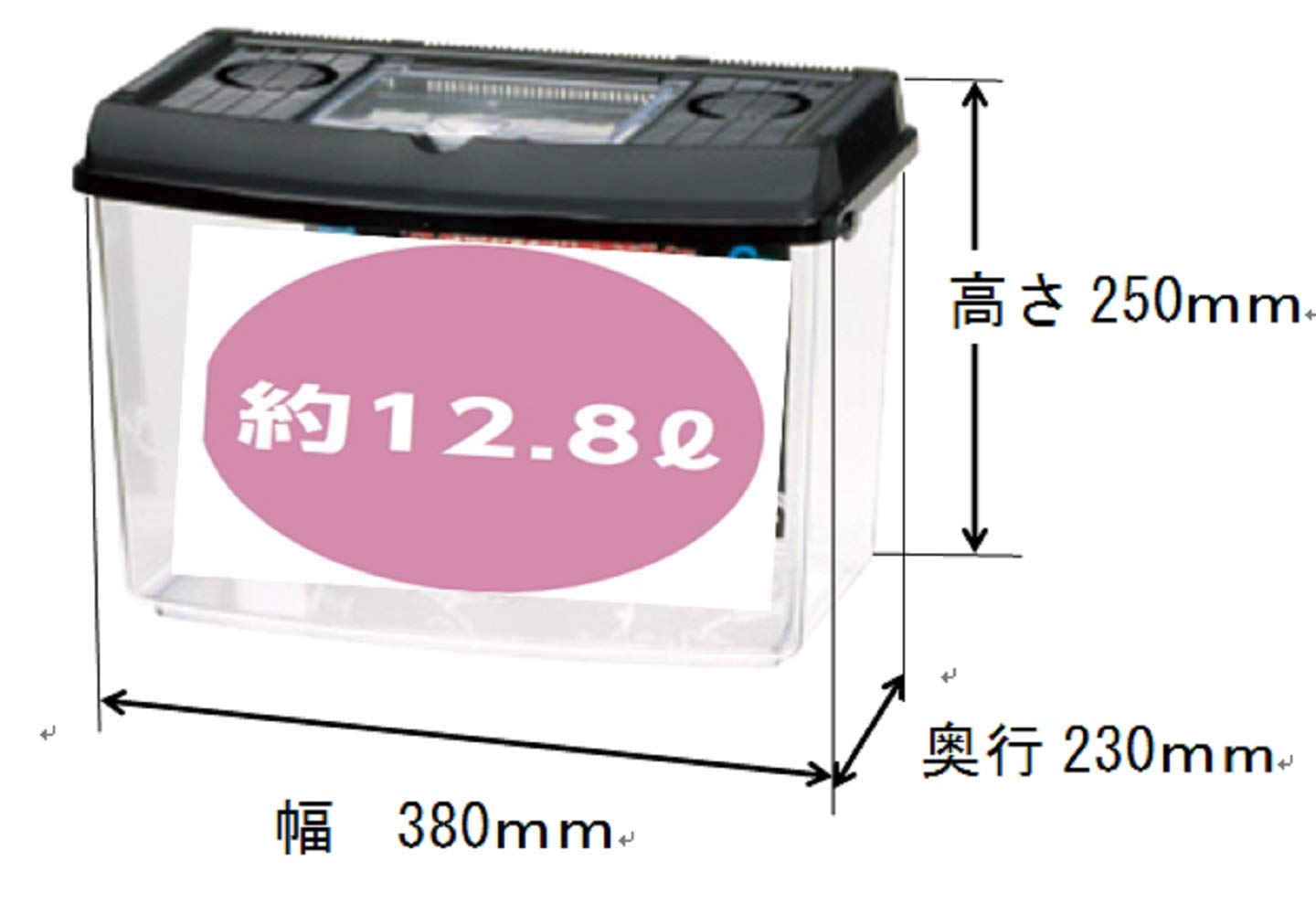 Amazon | インセクトランド プラケースワイドビュー ブラック 大