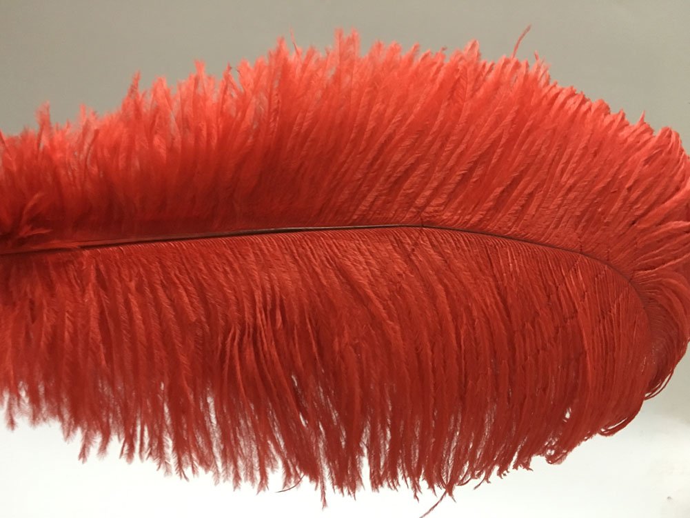 AMIZOB Pack of 15pcs Natural Bleached Dyed Ostrich Feathers 17.7~19.7inch Plumes Wedding Centerpieces Home Decoration (red)