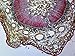 Gymnosperms Pine, Young Stem - Microscope Slide
