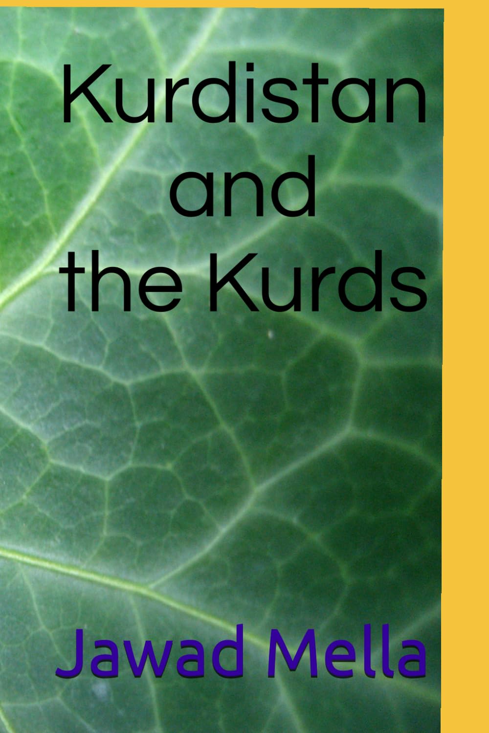Kurdistan and the Kurds (The Kurdish State)