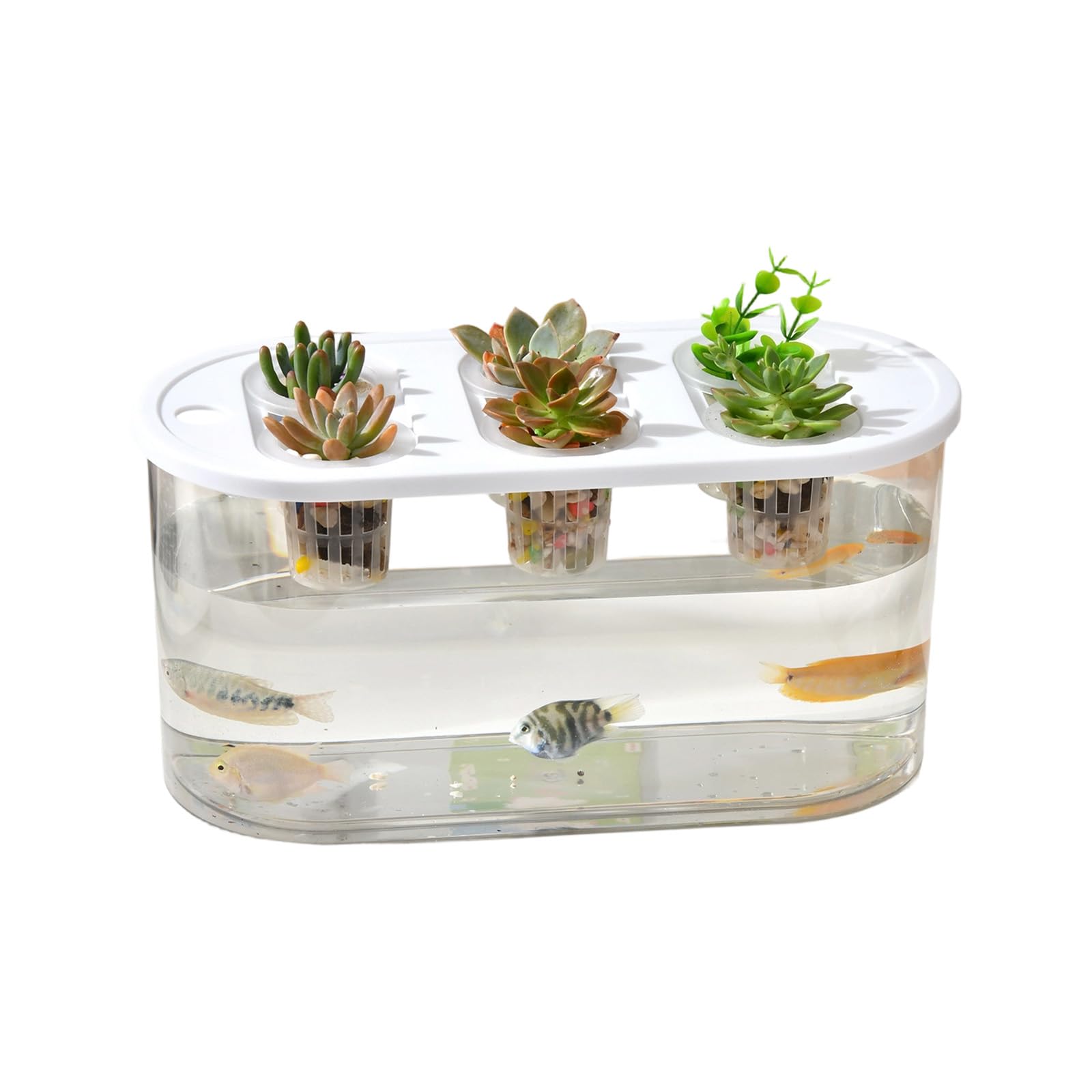 Zxfdsfdbnm Simple Maintenance Hydroponic Growing Box Promoting Clean Environment and Plant Cultivation for Indoor Use Family Hydroponic