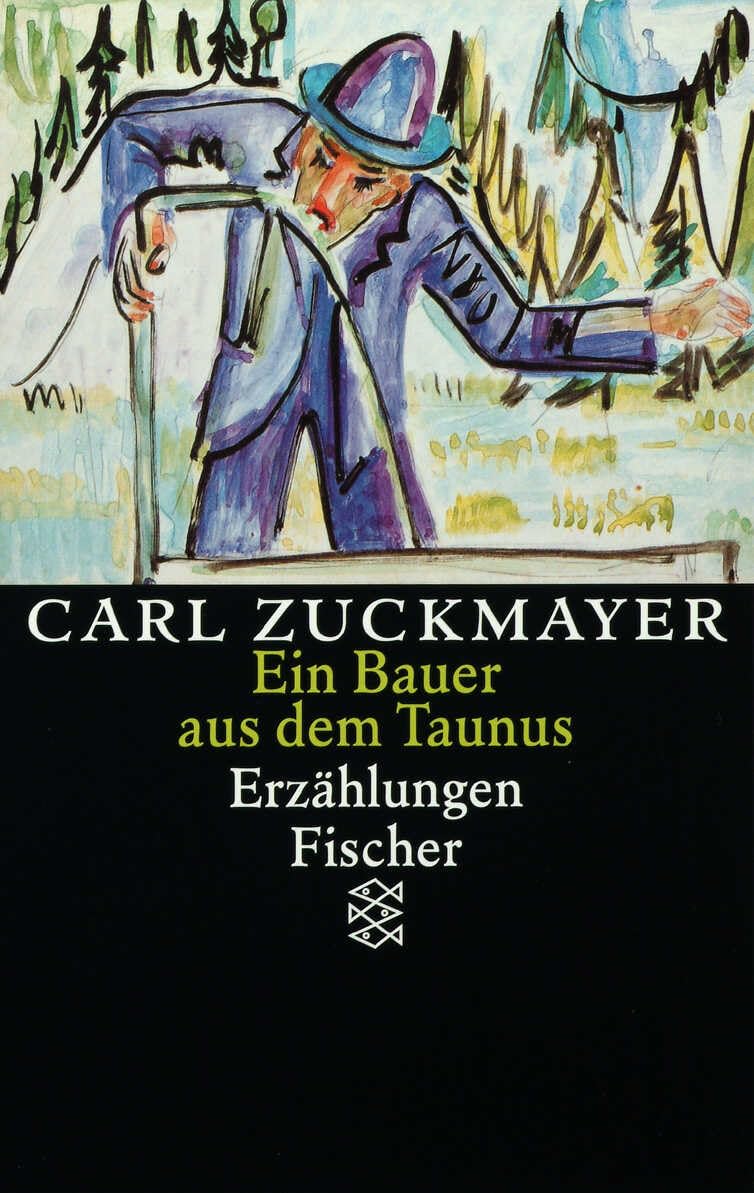 Ein Bauer aus dem Taunus: Erzählungen 1914-1930. Gesammelte Werke in Einzelbänden
