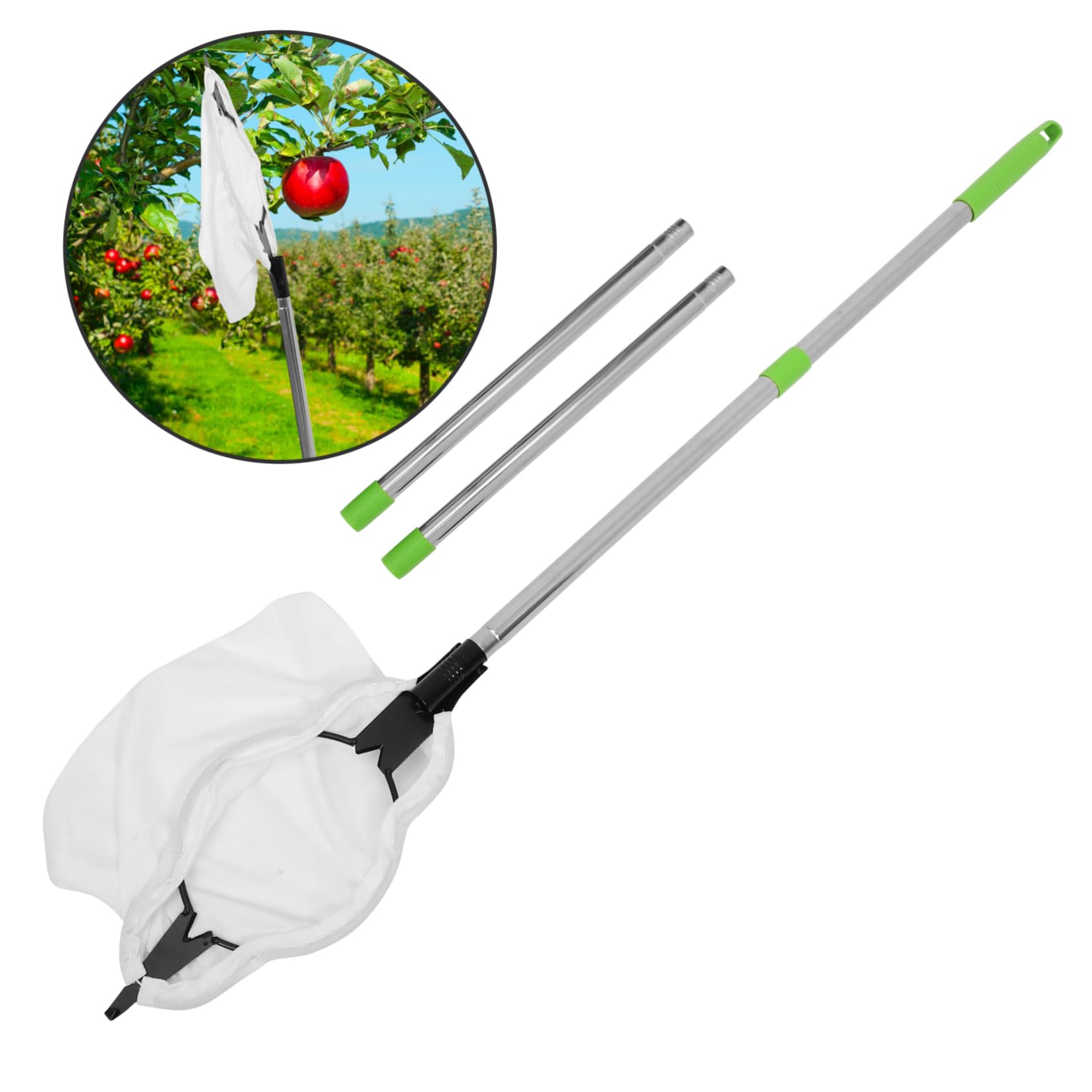 1 Set Raccoglitrice Di Frutta Aerea Gabbia Frutta Strumenti Per La Raccolta Delle Mele Raccoglitore Di Arance Palo Per La Raccolta Della Frutta Silver Acciaio Inossidabile