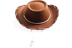 Childrens Brown Felt Cowboy Hat