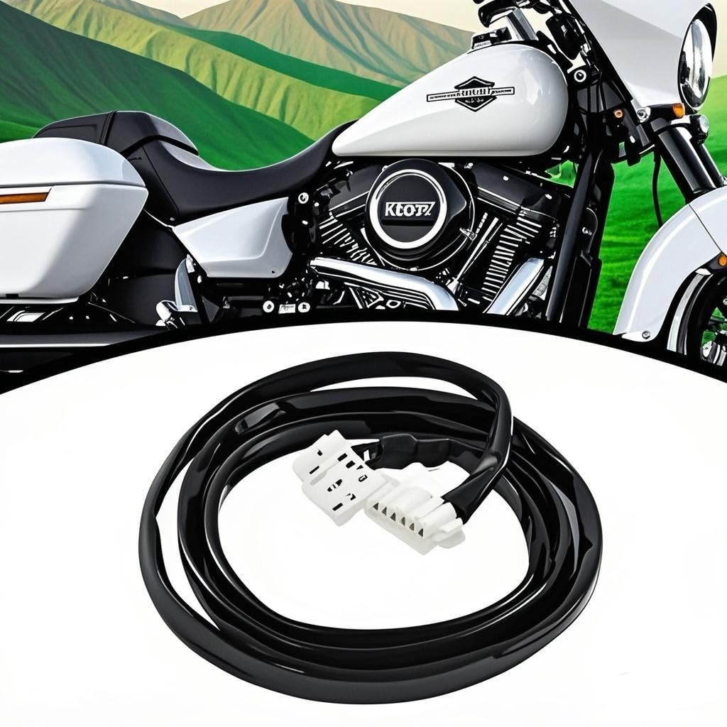 Amazon.com: Rear Taillight Wiring Harness 8-pin to 6-pin Fit for