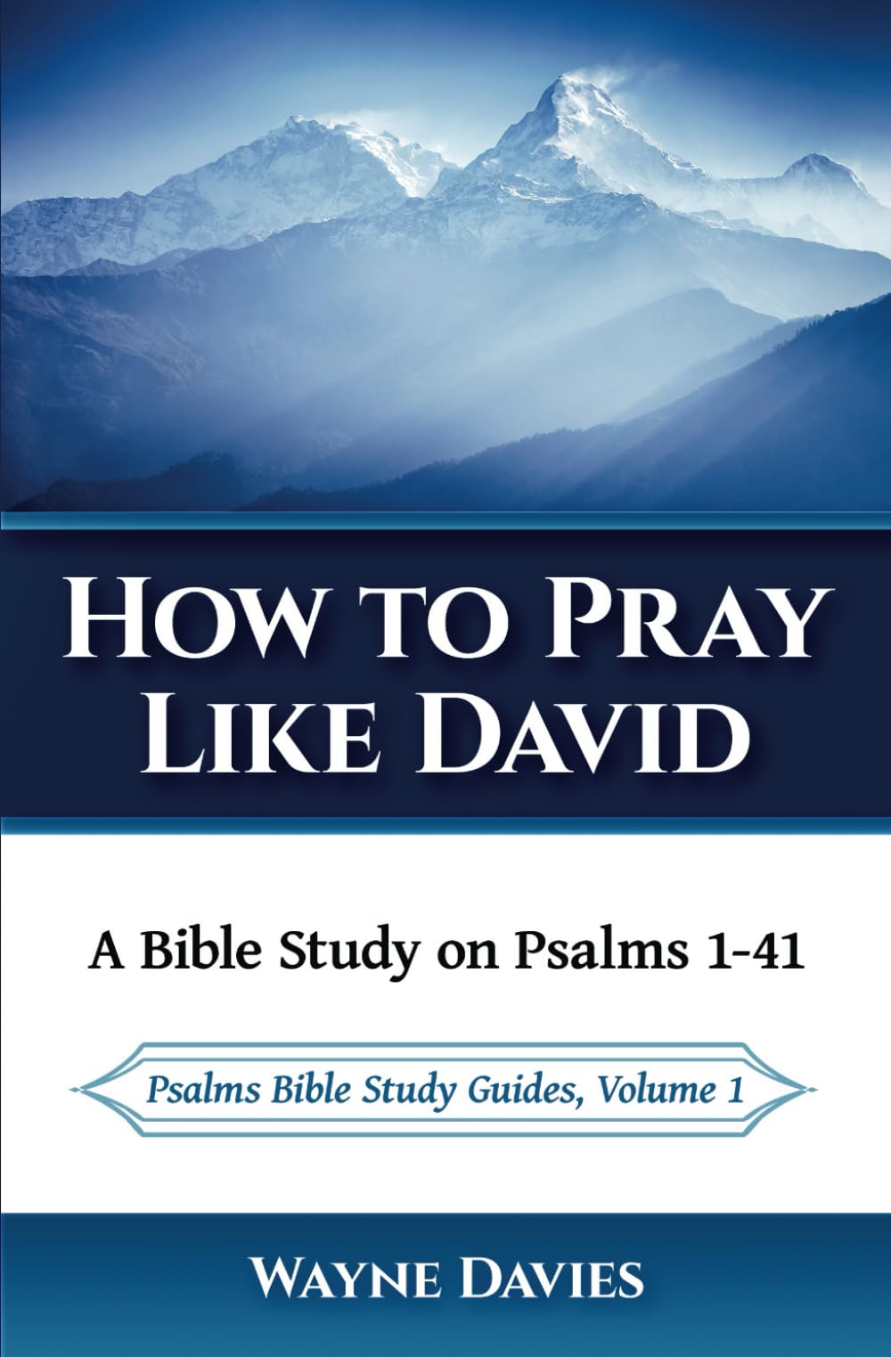 How to Pray Like David: A Bible Study on Psalms 1-41 (Psalms Bible Study Guides)