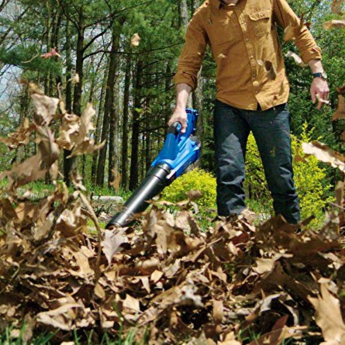 Kobalt 24Volt BL Leaf Blower and String Trimmer Combo Kit • to