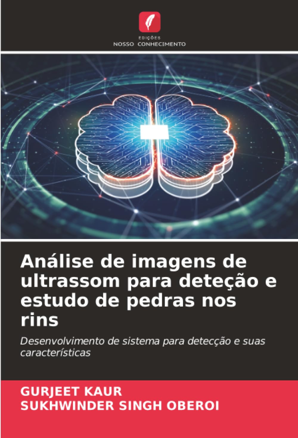 Análise de imagens de ultrassom para deteção e estudo de pedras nos rins: Desenvolvimento de sistema para detecção e suas características