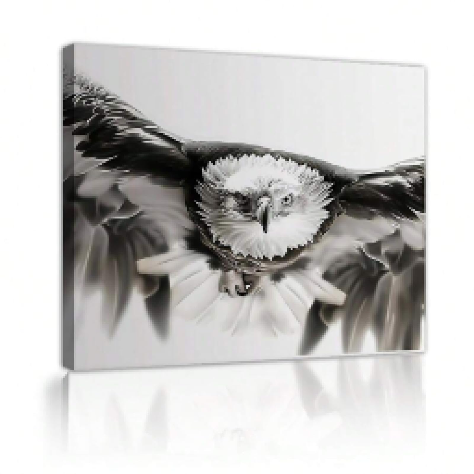Toile aigle grand format avec cadre pour habiller un mur vide - 8