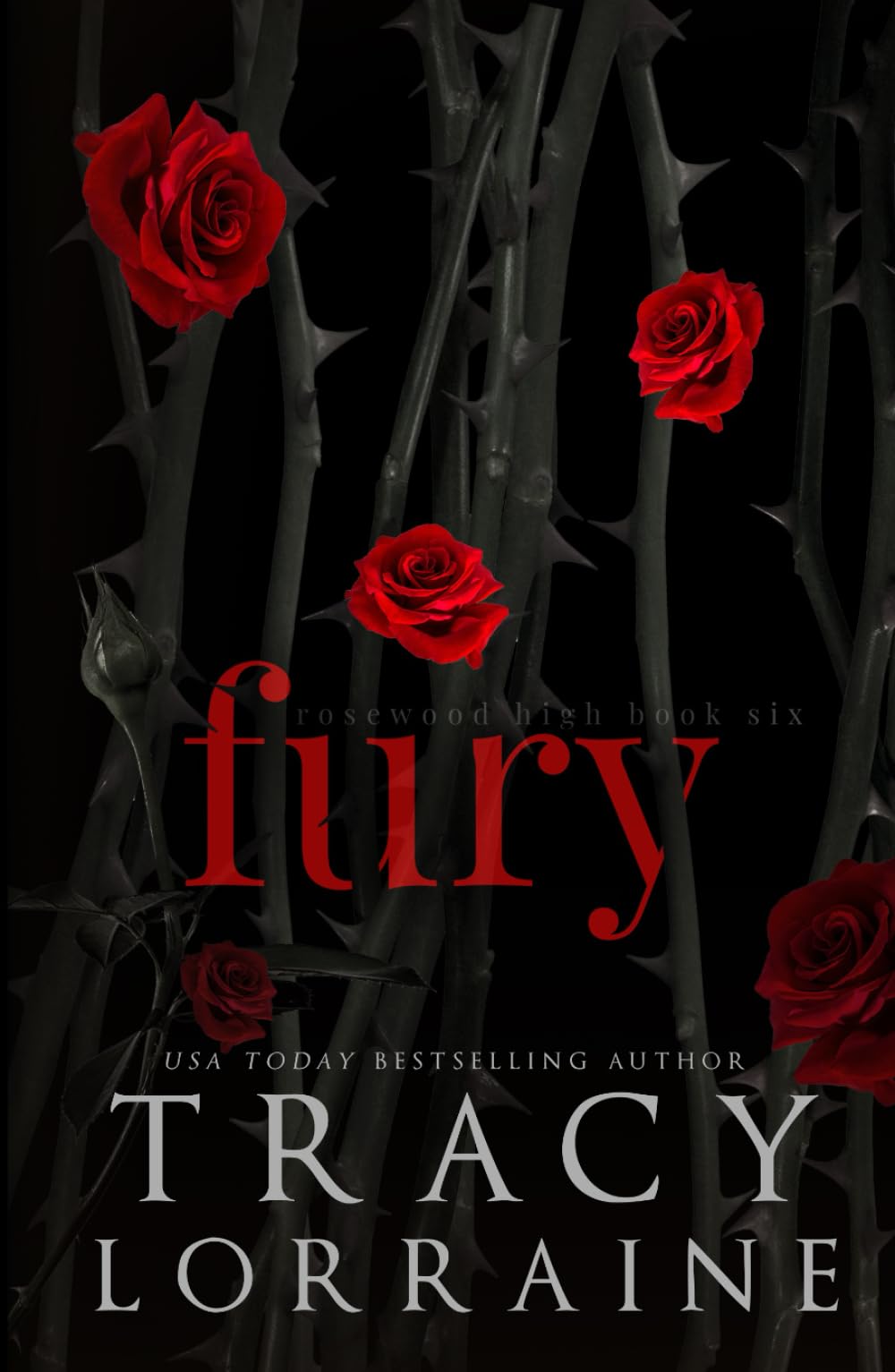 Fury: A Dark High School Bully Romance (Rosewood High Alternate Editions)