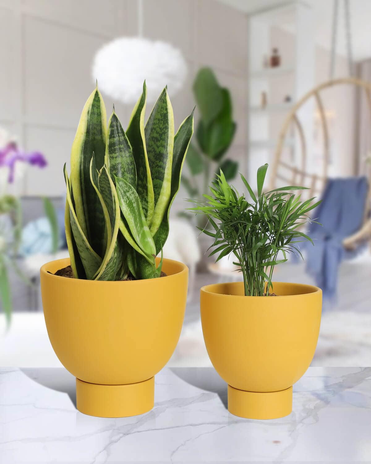 vensovo Yellow Terracotta Self Watering Plant Pot - 2 PCS 6 Inch & 8 Inch Terra Cotta Plant Pot with Drainage Hole and Saucer, Small & Large Clay Flower Pot with Tray, Planter for Indoor Outdoor