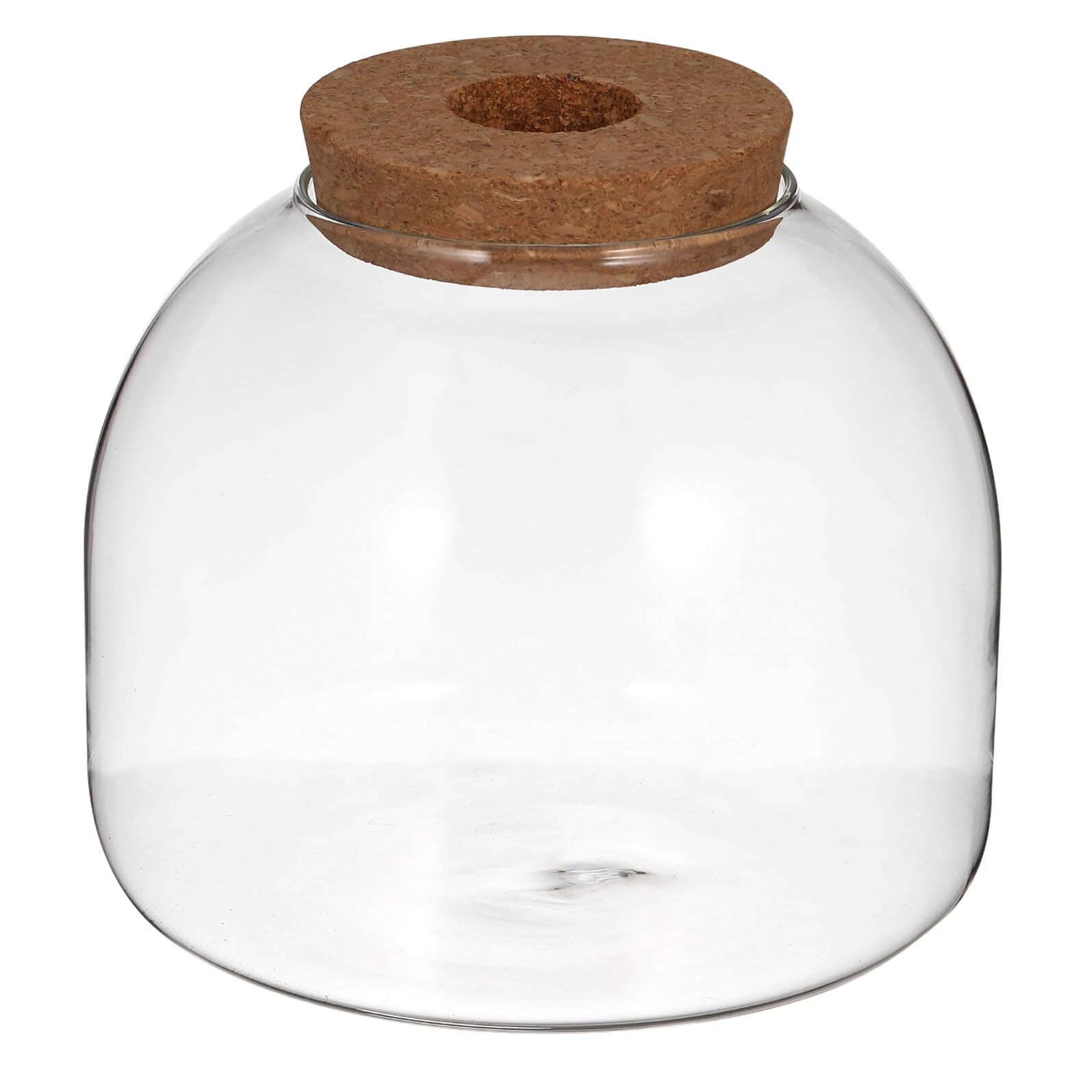 Terrario in Vetro con Coperchio in Sughero, Micro Terrario Paesaggistico per Piante e Muschio, Barattolo Decorativo per Ufficio e Interni, Vaso per Piante Fai-da-te