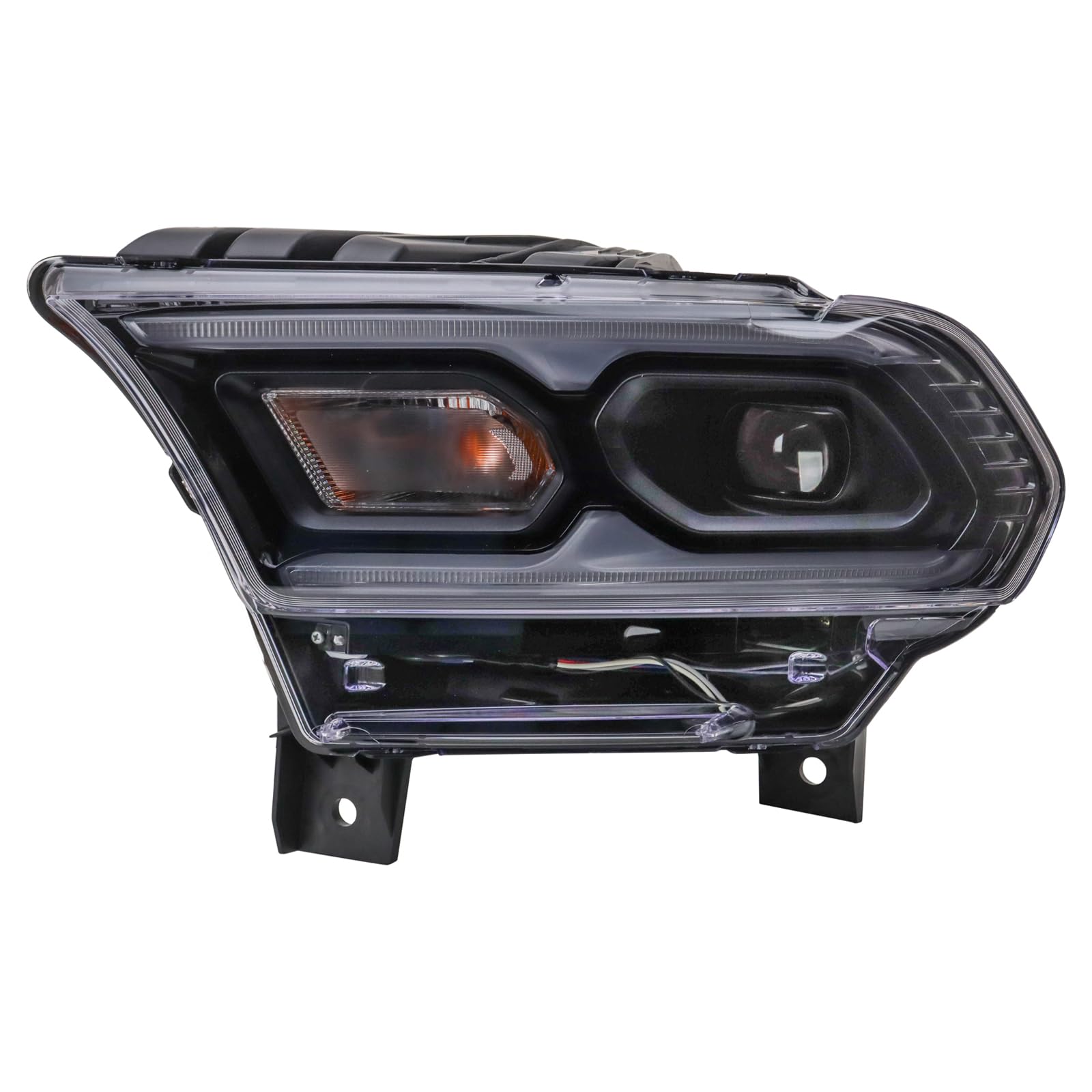 ദ്ദി様 d Tortoise | Trendy Pantos Brown glasses- IZIPIZI