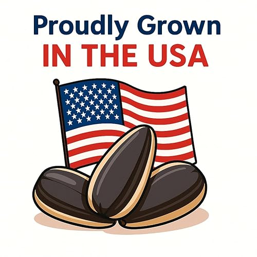 Miniatura 4 de Crazy Nuts  Semillas de girasol crudas cultivadas en EE. UU., 1 libra  Semillas de girasol para comer, semillas de girasol sin sal, semillas de