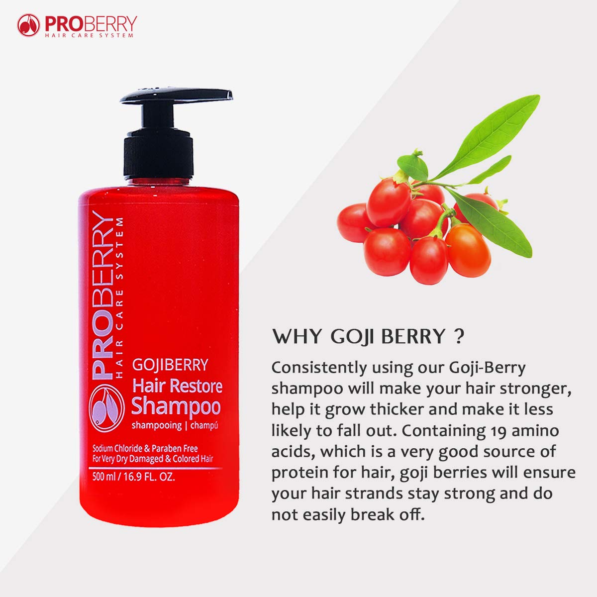 Amazon.com : Goji Berry Hair Restoration Shampoo for Color Treated