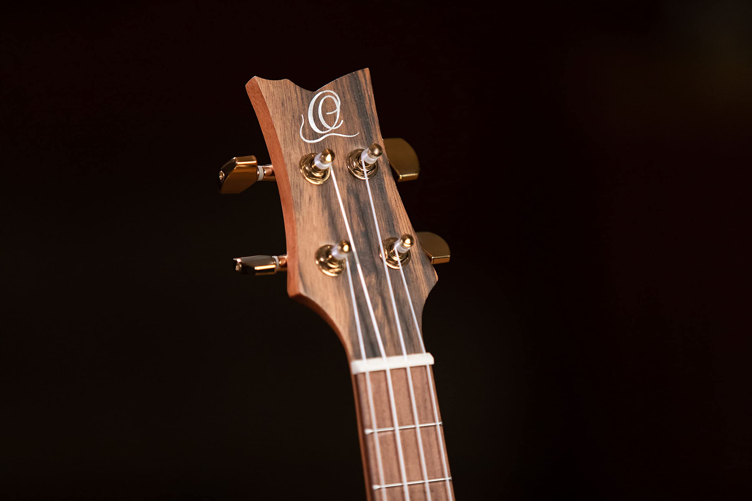 Ortega Guitars Ukulélé Tenor Electro-Acoustique – Série Lizard – Housse Incluse – Paldao, Naturel (LIZARD-TE-GB)