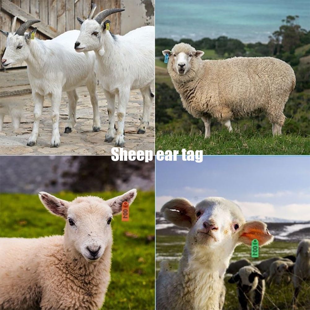 Marche auricolari per animali da reddito suini, ovini e bovini 001-100/101-200/201-300/301-400 marche auricolari digitali - per la gestione dell'allevamento (blu, giallo, rosso, verde,arancione, rosa)