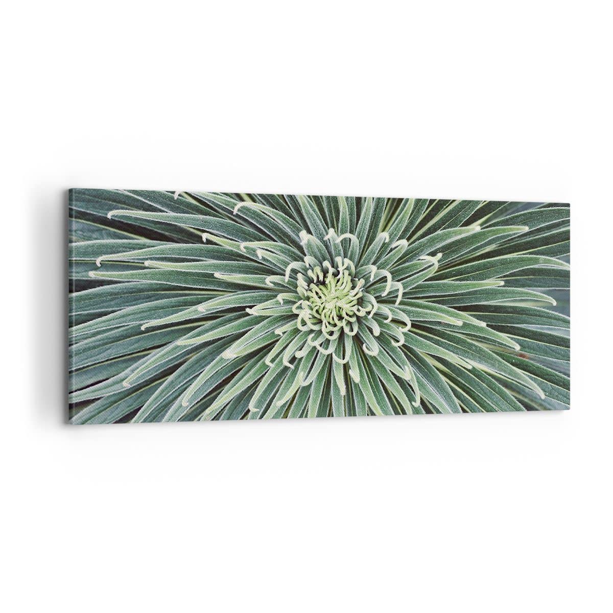 ARTTOR Cuadro Decorativo 100x40cm Moderno Panorámico Botánica Flores - 4905