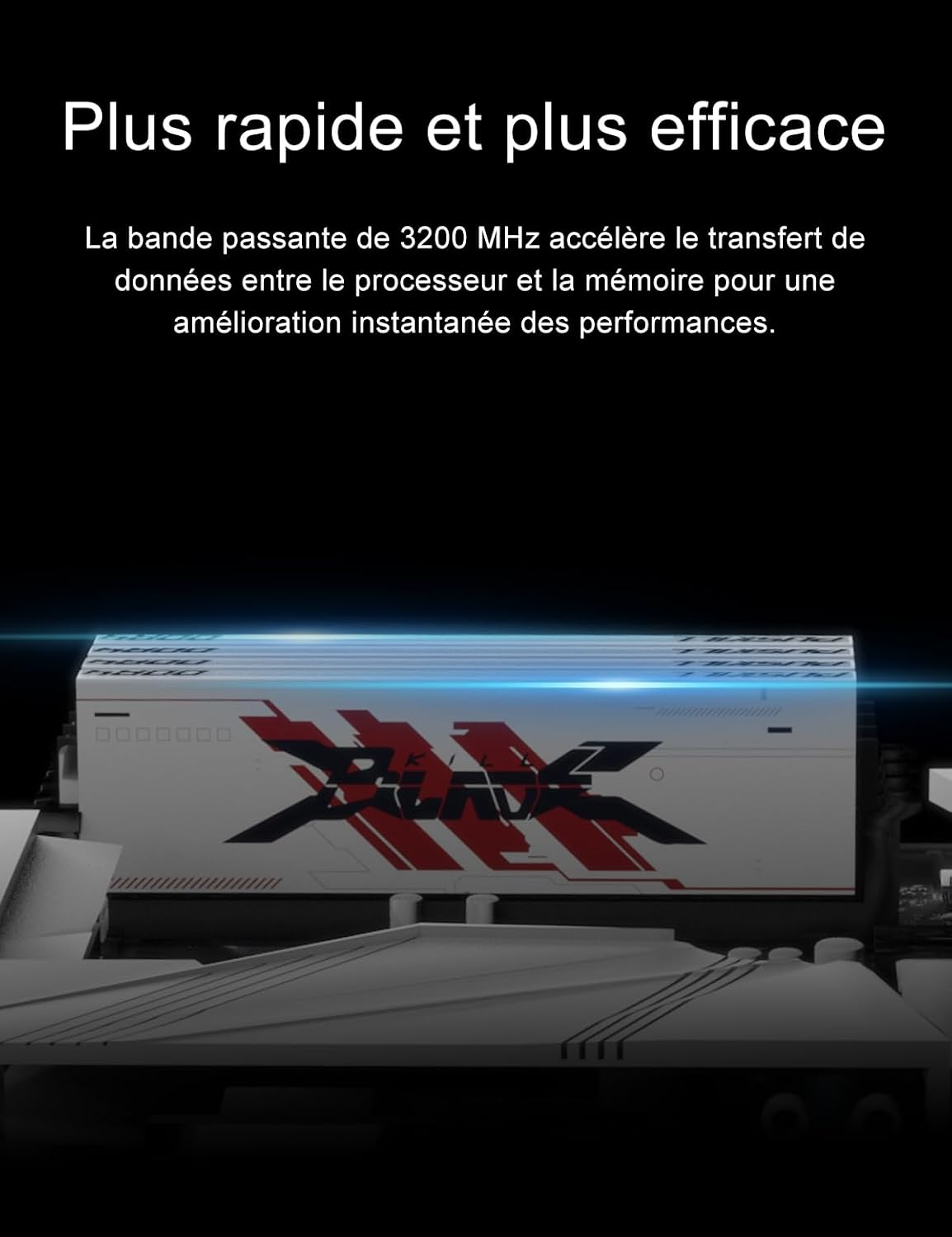 Vue 5