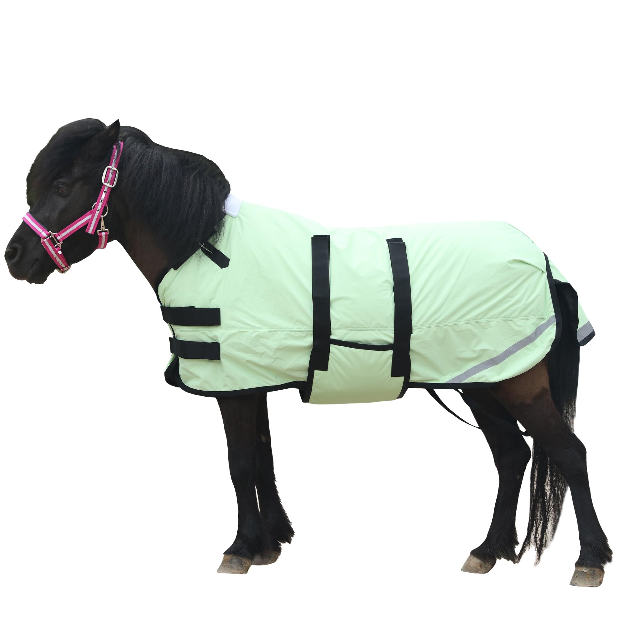 Leberna Coperta invernale per puledro e mini cavallo, 300D, traspirante, in miniatura, con fascia per la pancia (imbottitura da 150 g) (verde erba, L (90 - 100 cm)