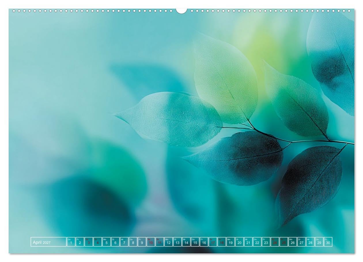 Lichtspiele der Natur (hochwertiger Premium Wandkalender 2027 DIN A2 quer), Kunstdruck in Hochglanz: Blätter, Blüten, Gräser, Natur, Stimmung und Naturästhetik (CALVENDO Natur)