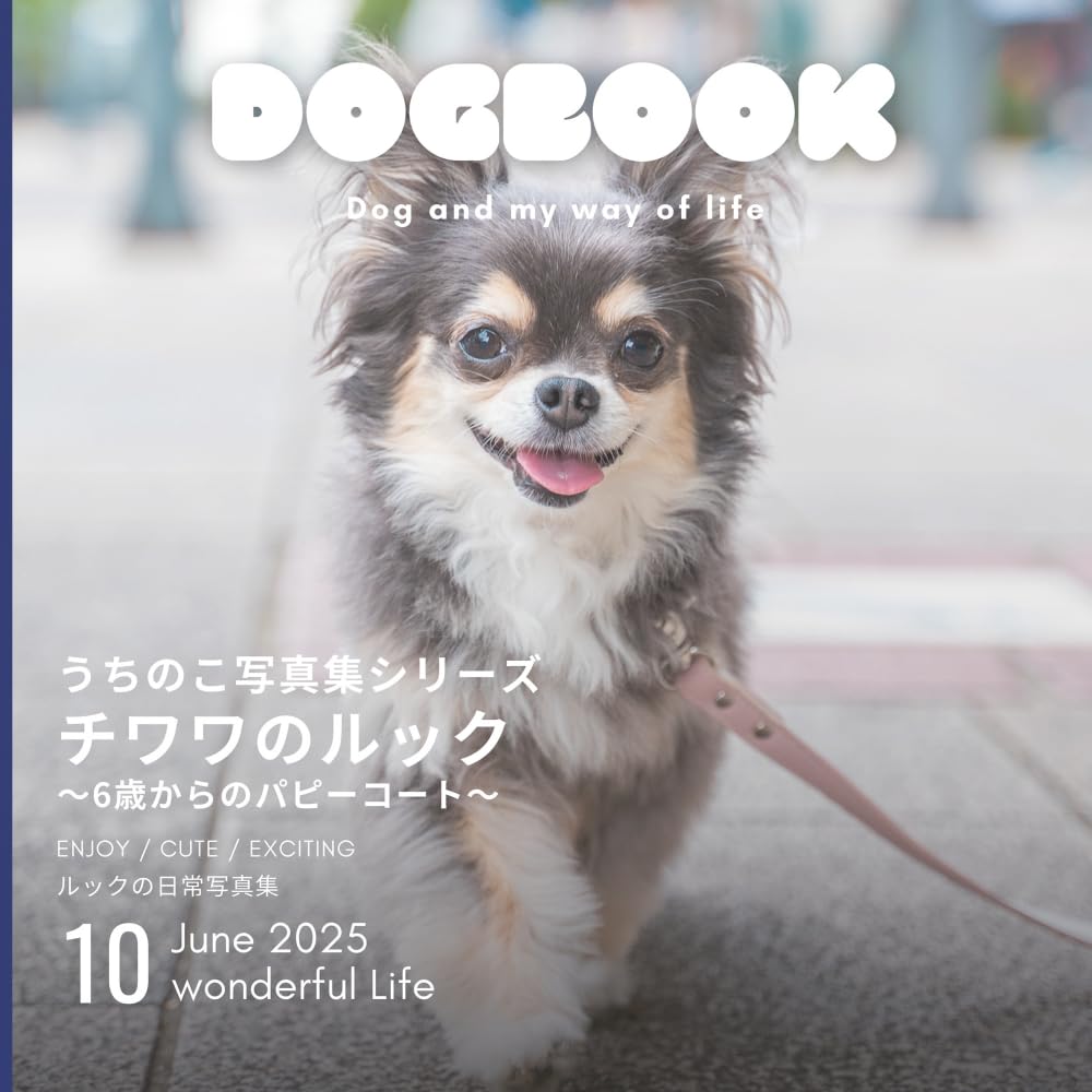 チワワのルック〜6歳からのパピーコート〜 (うちのこ写真集シリーズ