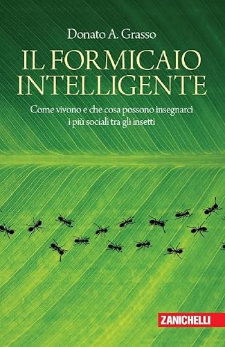 Il formicaio intelligente. Come vivono e che cosa possono insegnarci i più sociali tra gli insetti